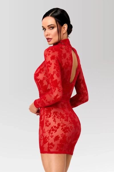 Rotes Netz-Minikleid F415