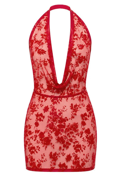 Rotes Netz-Minikleid F419