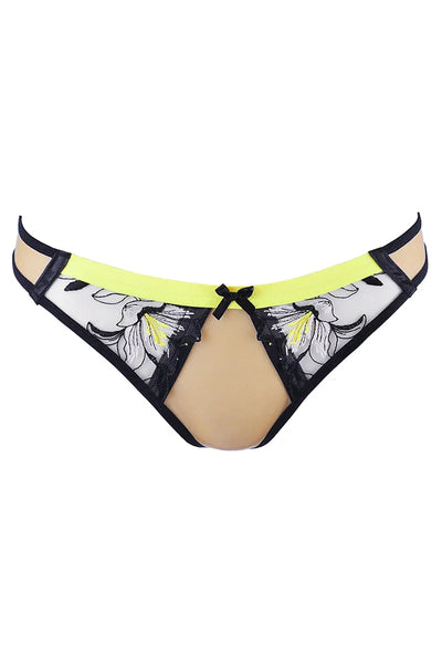 String fluo V-10148 par Axami
